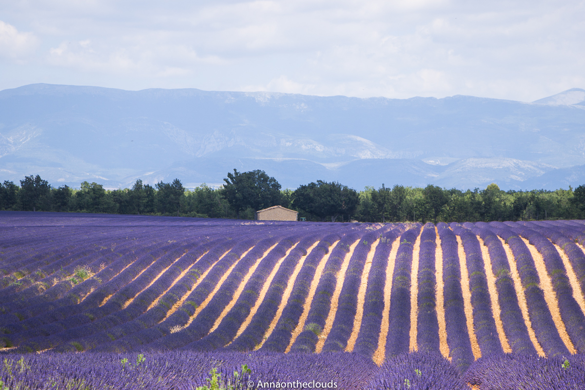 Cosa vedere in Provenza: i posti imperdibili da vedere