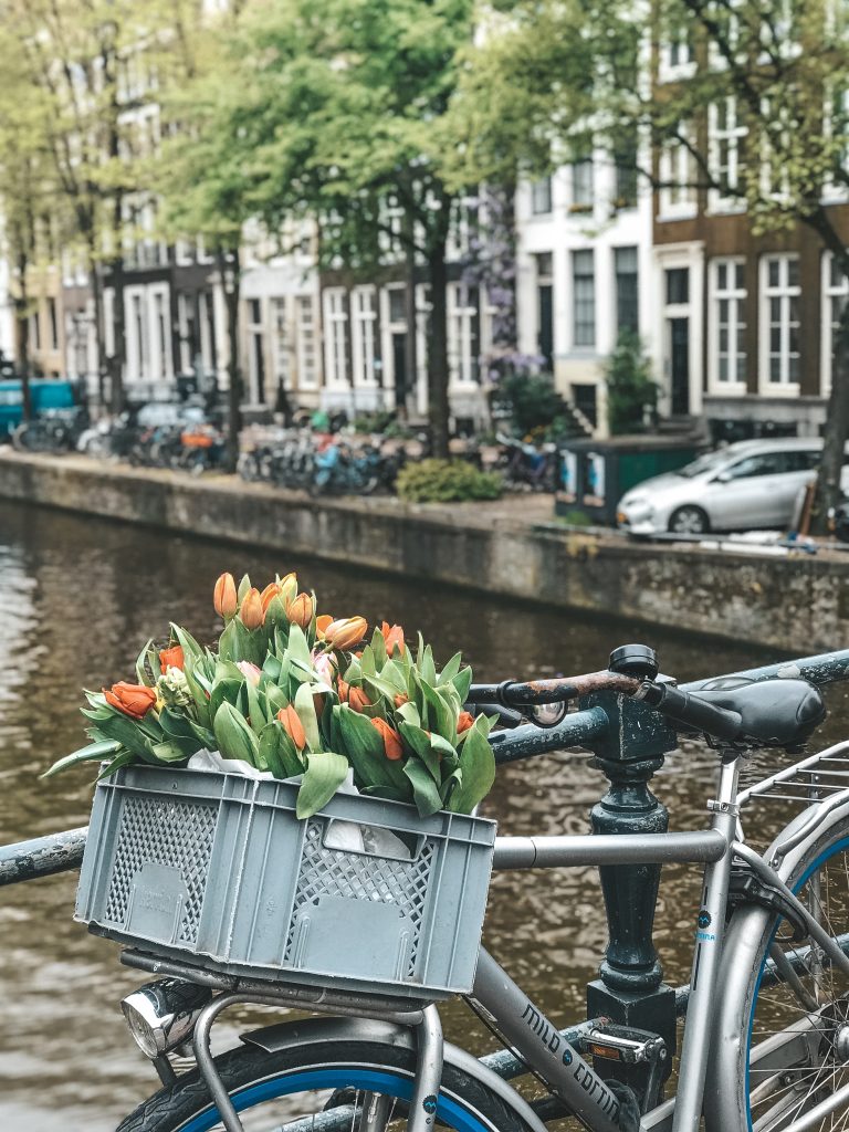 Cosa fare e vedere ad Amsterdam (compresi i tulipani)